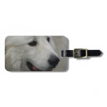 Luggage Tag - Customized