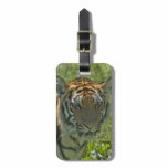 Luggage Tag - Customized