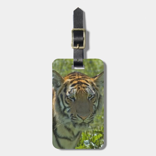 Luggage Tag - Customized (Front Vertical)