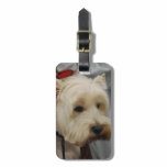 Luggage Tag - Customized