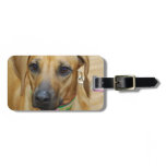 Luggage Tag - Customized