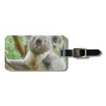 Luggage Tag - Customized
