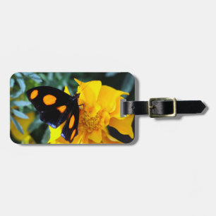 Luggage Tag/Grecian Shoemaker Tag