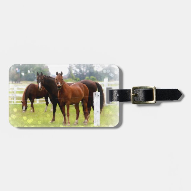 Luggage Tag/Horses Tag (Front Horizontal)