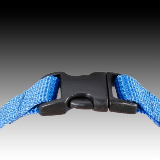 Luggage Tag With Blue Nylon Strap (Buckle)