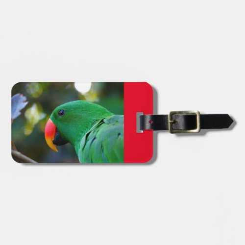 Luggage Tag with Eclectus Parrot