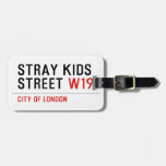 Stray Kids Street  Luggage Tags