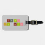 School
 is cool!  Luggage Tags