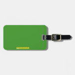 SPELLING 
 
 PRETEST
 
 FERNANDA LARA  Luggage Tags