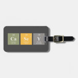 Casey  Luggage Tags