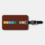 SHAYE COHN  Luggage Tags