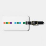Fuck Dem Hoes  Luggage Tags