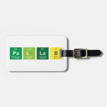 PAllab  Luggage Tags