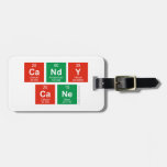 candy
 cane  Luggage Tags