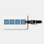 Genius  Luggage Tags