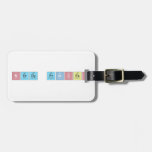 N|erdy princ|ess  Luggage Tags