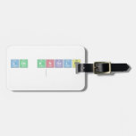 Los Angeles
   Luggage Tags