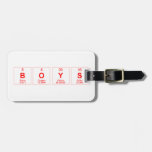boys  Luggage Tags
