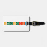 PhotoGrid  Luggage Tags