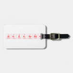 Alakananda  Luggage Tags