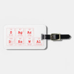 Sagar 
 Deswal   Luggage Tags