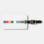 carpe diem  Luggage Tags