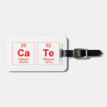 cate  Luggage Tags