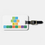 Gay
 Bitch
 Ass
 MotherFucker  Luggage Tags