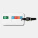 The Script 
   Luggage Tags