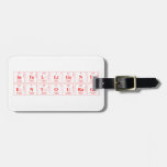 intelligent
 entourage   Luggage Tags