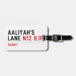 Aaliyah's  Lane  Luggage Tags