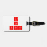 I
 Lv
 you  Luggage Tags
