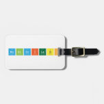 Mobi|Sci|Labs   Luggage Tags