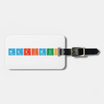 MAXIMUS  Luggage Tags