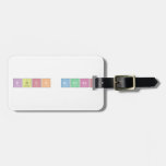 Fuck Bitches  Luggage Tags