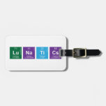 Lunatics  Luggage Tags