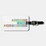 NOMVUYO
 NDLAZI
 NONHLAKANIPHO  Luggage Tags