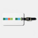 Evil Twin  Luggage Tags