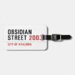 Obsidian Street  Luggage Tags
