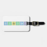 Investigate  Luggage Tags