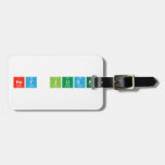 Hey Jude  Luggage Tags