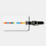 Chemical Revision  Luggage Tags