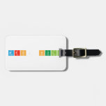 Mrs. Null  Luggage Tags
