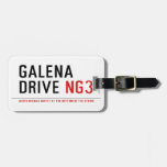galena drive  Luggage Tags