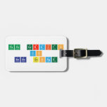 Papa cerdito
 vs
 bebe george  Luggage Tags