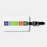 Calvinism  Luggage Tags