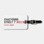 Chaeyoung Street 7  Luggage Tags
