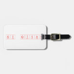 Sri krishna  Luggage Tags