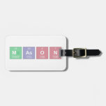 mason  Luggage Tags