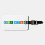 Minecraft  Luggage Tags